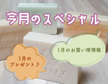 今月のスペシャル