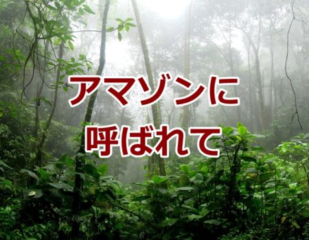 アマゾンに呼ばれて★E-Conceptionのメルマガ【第544号】
