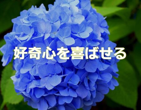 好奇心を喜ばせる★E-Conceptionのメルマガ【第547号】