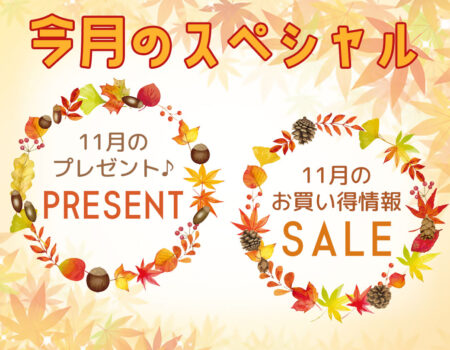 今月のスペシャル