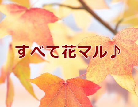 すべて花マル♪★E-Conceptionのメルマガ【第555号】