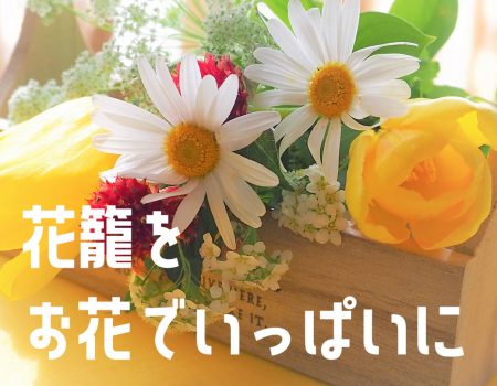 E-Conceptionのメルマガ 第568号