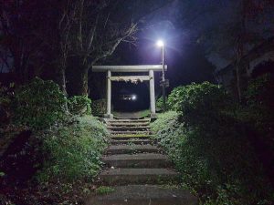 わたしの神社（夜）