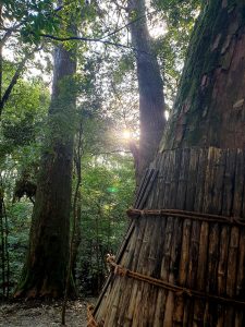 瀧原宮