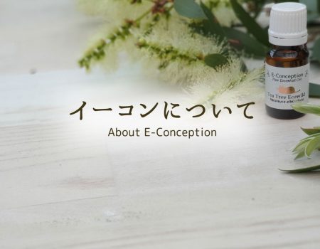 イーコンについて