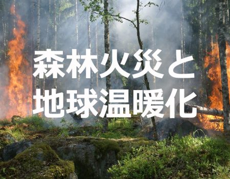 森林火災と地球温暖化