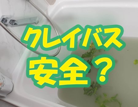 クレイバス安全？