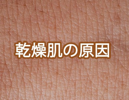 乾燥肌の原因
