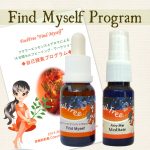 自己探索プログラム