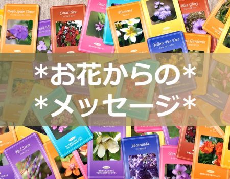 FeelFreeフラワーエッセンス「お花からのメッセージ」