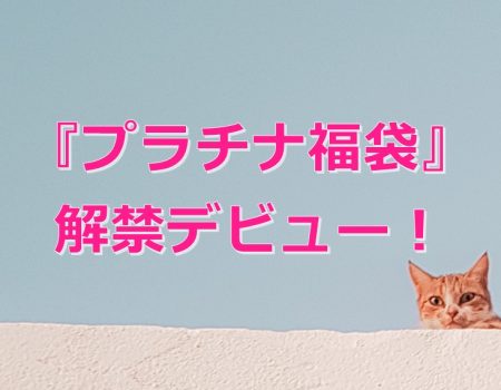 『プラチナ福袋』解禁デビュー!★E-Conceptionのメルマガ【号外】
