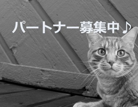 パートナー募集中★E-Conceptionのメルマガ【第460号】