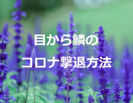 メルマガ474
