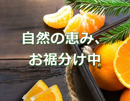 自然の恵み、お裾分け中★E-Conceptionのメルマガ【第524号】