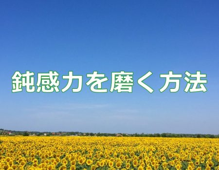 鈍感力を磨く方法★E-Conceptionのメルマガ【第529号】