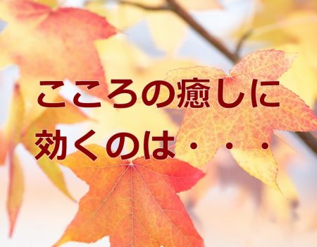 こころの癒しに効くのは・・・★E-Conceptionのメルマガ【第533号】