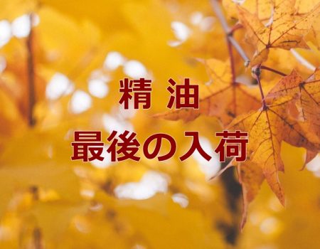 精油最後の入荷★E-Conceptionのメルマガ【第534号】