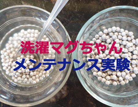 洗濯マグちゃん★メンテナンス実験