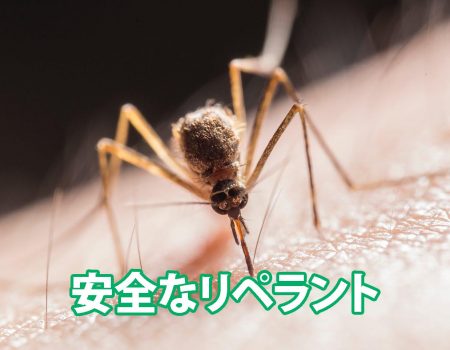 安全なリペラント