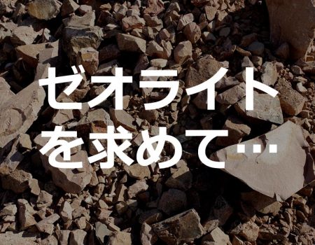 ゼオライトを求めて
